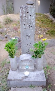 ��ɗ��܂���(>_<)