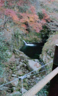 ���N�̍g�t