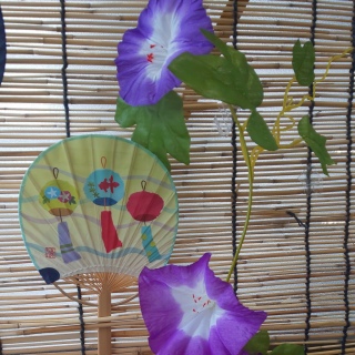 �����ƌ����Ԃł��B