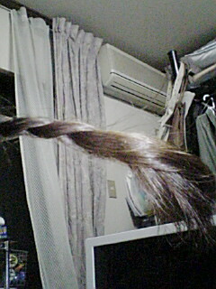 �Ԕ��������ǁc